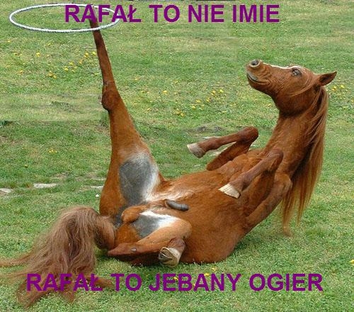 RAFAŁ