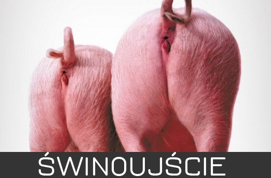 ?winouj?cie