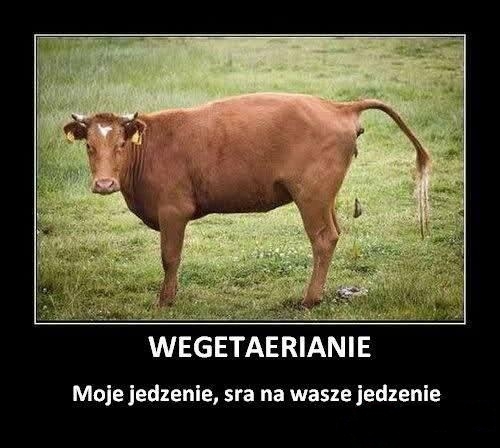 Wegetarianie