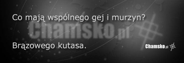 Wspólna cecha