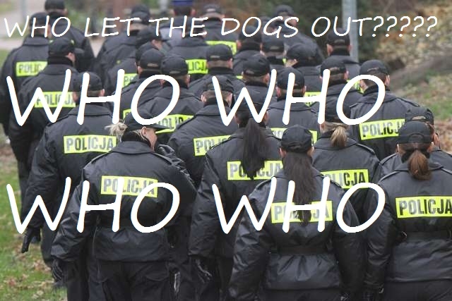 DOGS