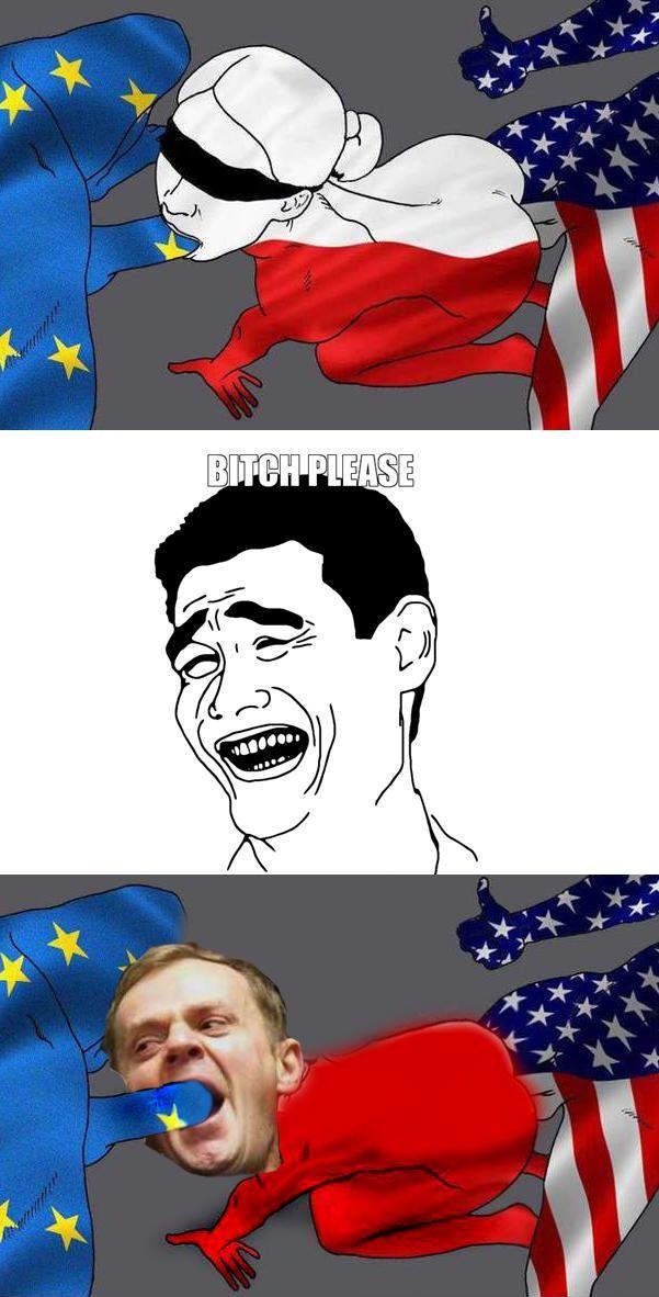 Polityka ssie