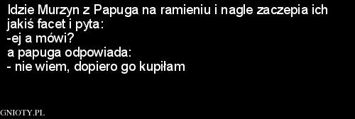 Chamska Papuga