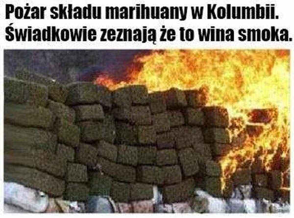 Dobry towar
