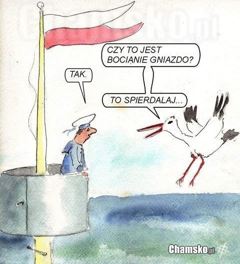 Bocianie gniazdo
