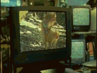 Jak ich nie kochać