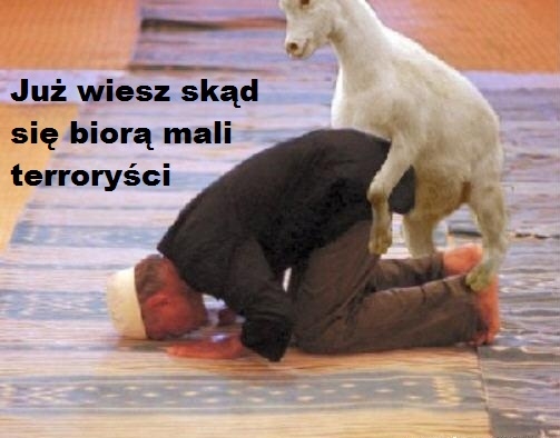 Sk?d si? bior? islamscy terrory?ci?