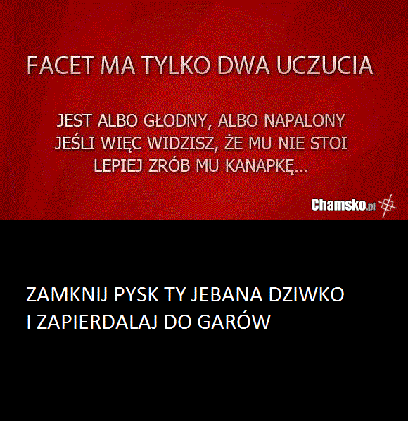 Ryj Szmato