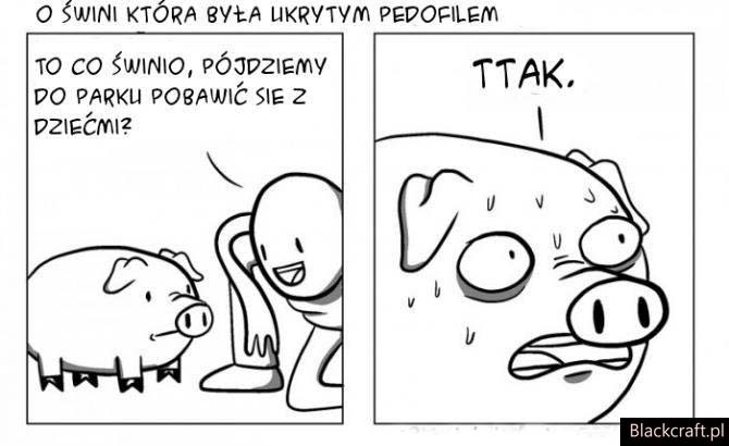 ukryta opcja ?wi?ska
