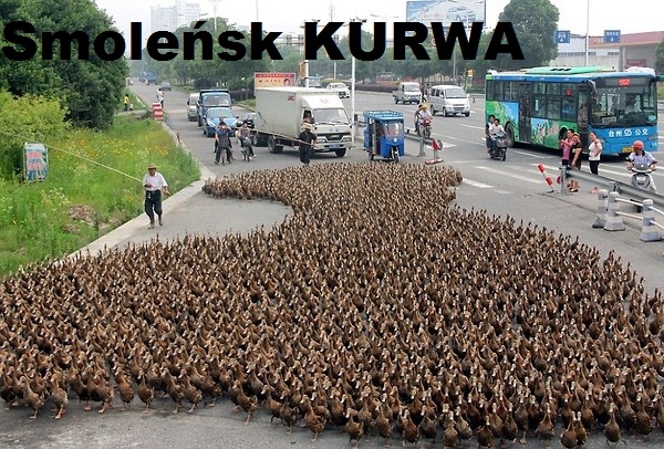 miesi?cznice