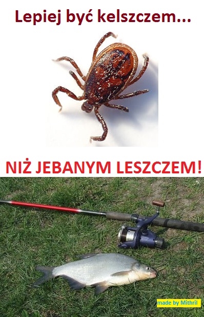 leszczu!!!
