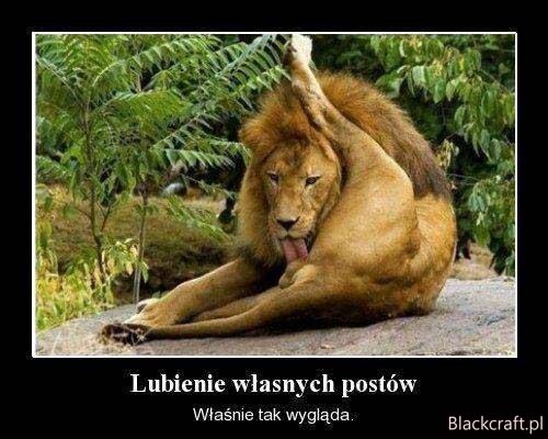 Tak wygl?da lubienie w?asnych postów...