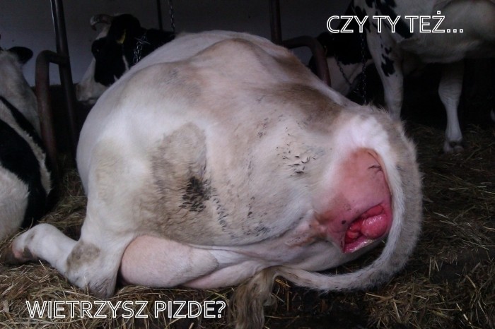 a czy Ty