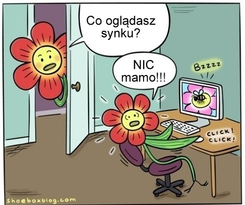 Kwiatkowe porno