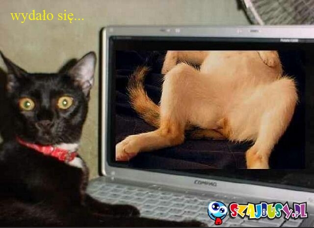 i wyda?o si?