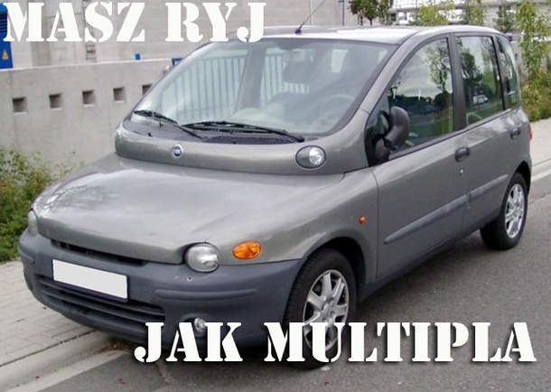 Ryj