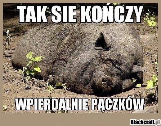 Tak się kończy wpierdalanie pączków