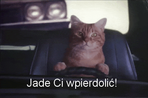 jade ci wpierdoli?