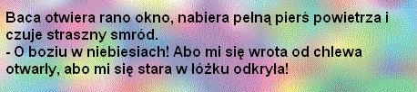 poranek bacy