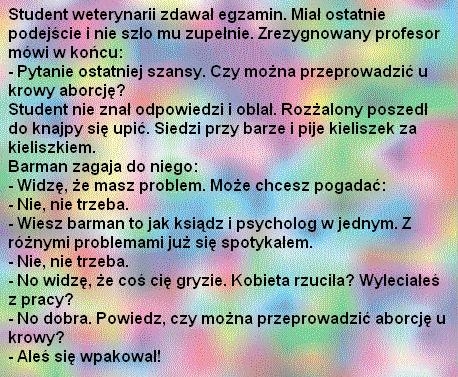 aborcja u krowy