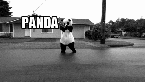 Chuj z Pandami niech wygin?