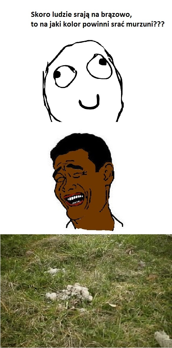 kolor srania???