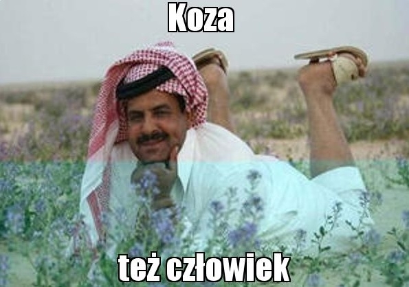 Typowy arab