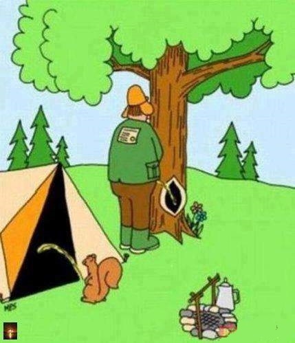 Karma dziwko