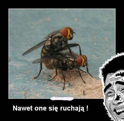 Nawet one si? ruchaj? !