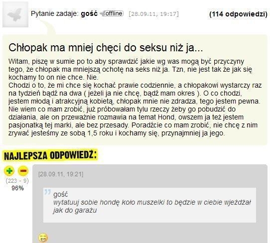muszelka