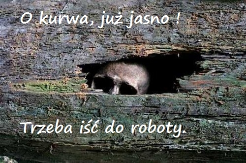 Kurwa znowu...