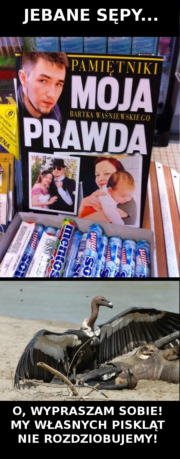 Sępy