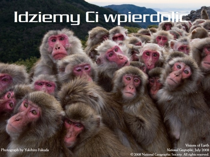 idziemy