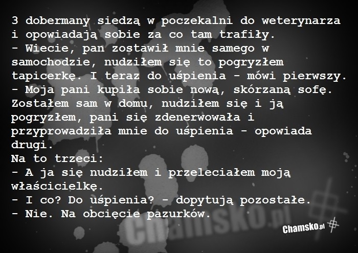 3 dobremany
