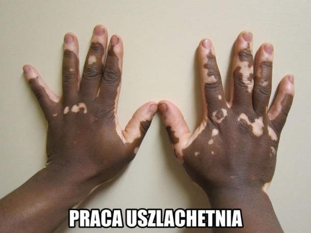 Praca