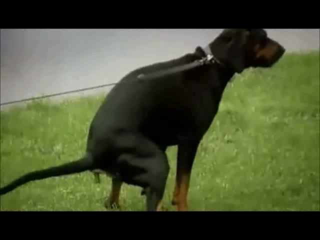 KUPA
