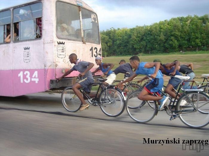 Czarny zaprzęg