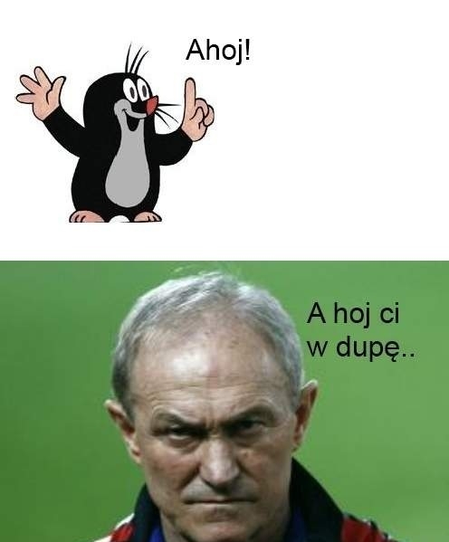 Krecik