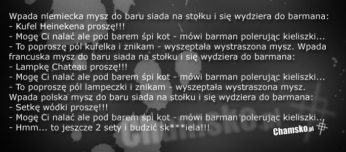 Mysz wpada do baru