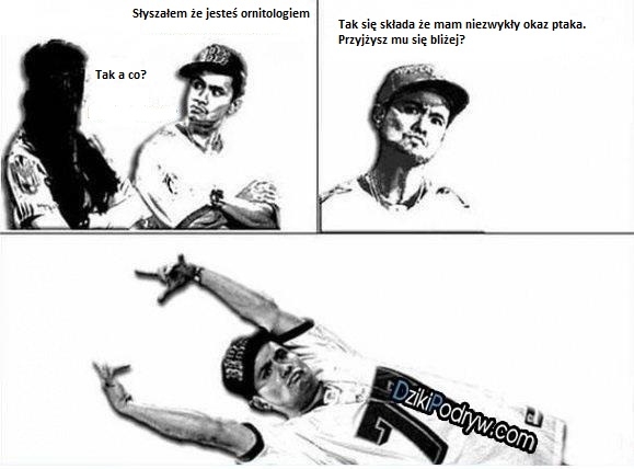Ornitolog