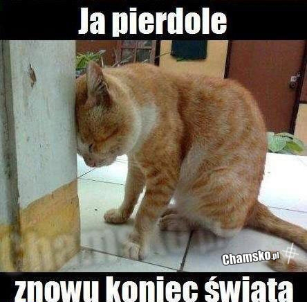 Znowu koniec świata...
