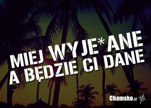 Miej wyjebane