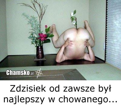 donica