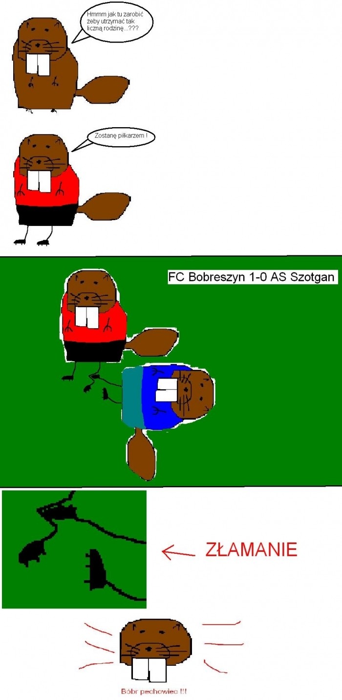 Bóbr pechowiec