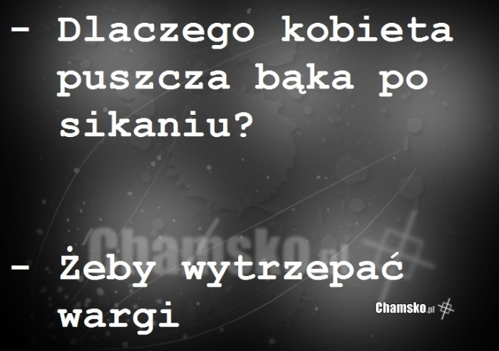 Pytanie