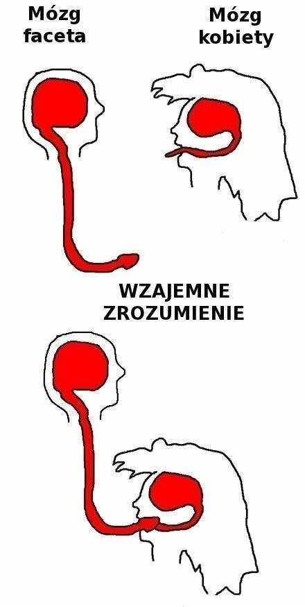Zrozumienie