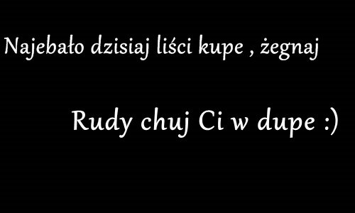 Żegnaj Rudy