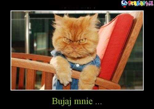 bujaj mnie