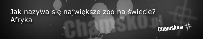 Największe ZOO na świecie
