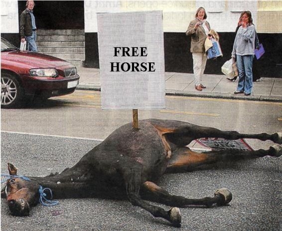 Free Horse